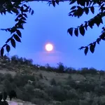 Il Burlino Alloggio per agriturismo Lerma