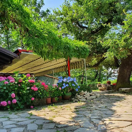 Farm stay Il Burlino *