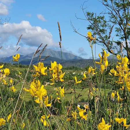 Il Burlino Farm stay