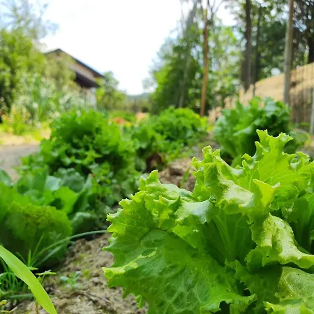 Farm stay Il Burlino Lerma