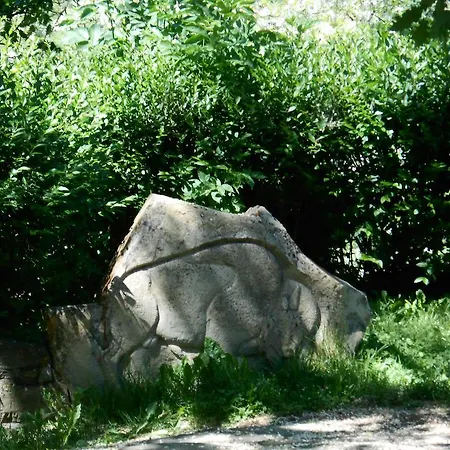 Il Burlino 팜스테이