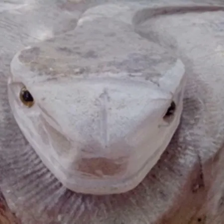 Il Burlino Farm stay Lerma