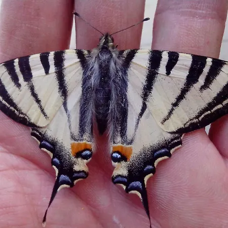 Il Burlino Κατάλυμα σε φάρμα Lerma