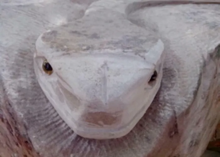 Il Burlino ファームステイ Lerma