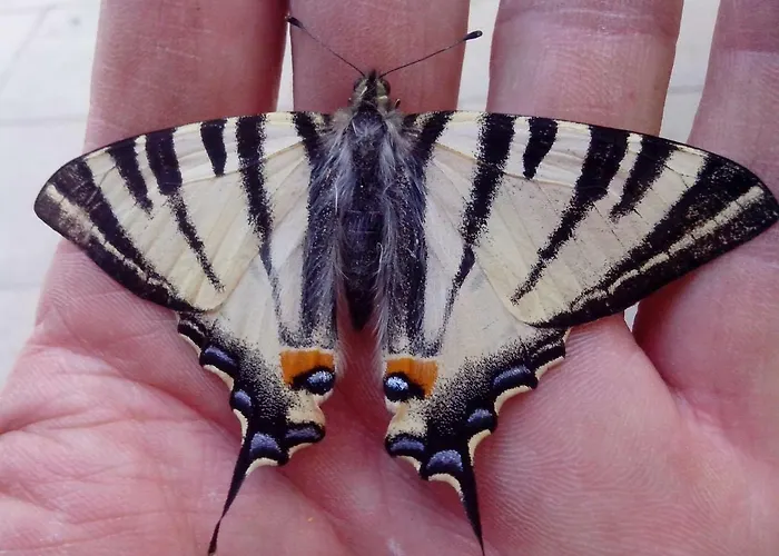 Il Burlino ファームステイ Lerma